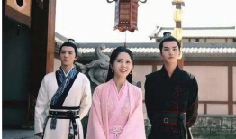 将军家的小娘子电视剧,乱世情缘，烽火佳人