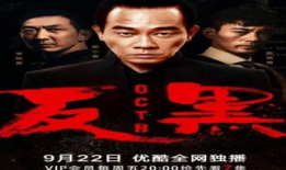罪案电视剧,真相与谎言的较量