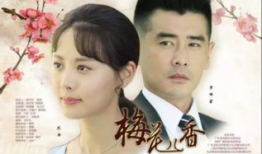 梅花电视剧,乱世佳人，傲骨凌霜