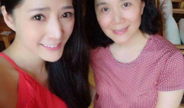 严晓频主演的电视剧,情感纠葛与命运抉择
