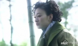 有价值的电视剧,揭秘经典电视剧背后的故事与影响