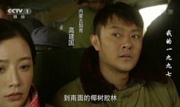 我是1997电视剧,青春岁月的回忆录