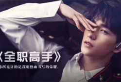 全职高手电视剧下载,电竞传奇，荣耀归来！