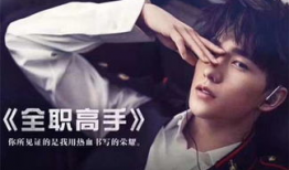 全职高手电视剧下载,电竞传奇，荣耀归来！