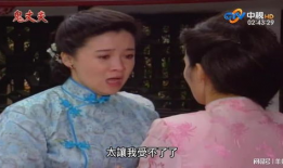 梅花电视剧,乱世佳人，傲骨凌霜