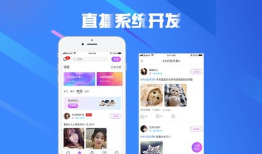 91桃色成品app直播源码,揭秘热门直播平台的幕后技术