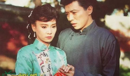 梅花电视剧,乱世佳人，傲骨凌霜