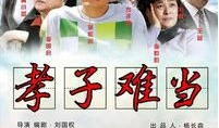 孝子电视剧,传承家国情怀的感人故事