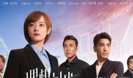 职场电视剧,职场剧中的权谋与成长