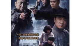 血雨母子情 电视剧,生死相依的感人传奇