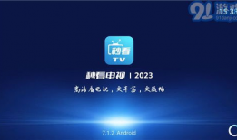 电视电视直播软件91,畅享视听盛宴，尽在指尖一触