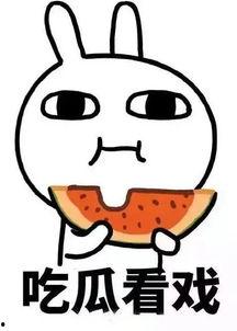 刘二豆娱乐吃瓜君,揭秘娱乐圈幕后故事